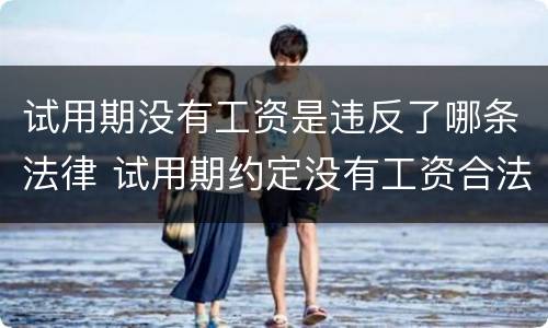 试用期没有工资是违反了哪条法律 试用期约定没有工资合法吗