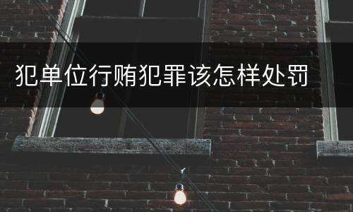 犯单位行贿犯罪该怎样处罚