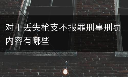 对于丢失枪支不报罪刑事刑罚内容有哪些