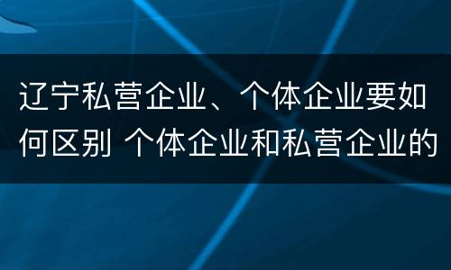 辽宁私营企业、个体企业要如何区别 个体企业和私营企业的区别