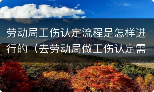劳动局工伤认定流程是怎样进行的（去劳动局做工伤认定需要什么资料）