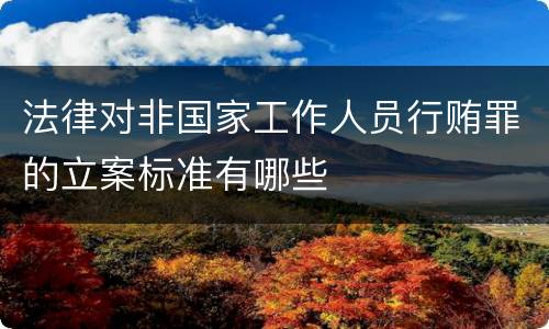 法律对非国家工作人员行贿罪的立案标准有哪些