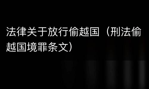 法律关于放行偷越国（刑法偷越国境罪条文）