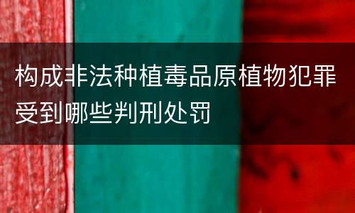 构成非法种植毒品原植物犯罪受到哪些判刑处罚