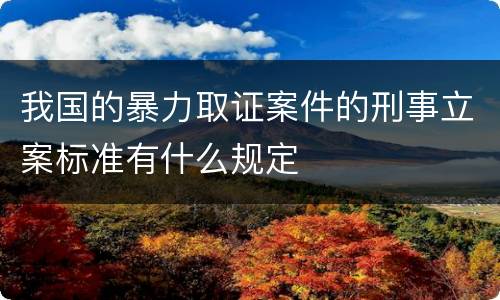 我国的暴力取证案件的刑事立案标准有什么规定