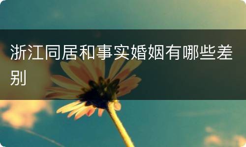 浙江同居和事实婚姻有哪些差别