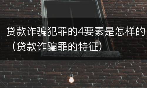 贷款诈骗犯罪的4要素是怎样的（贷款诈骗罪的特征）