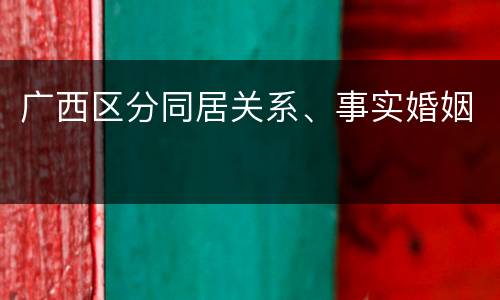 广西区分同居关系、事实婚姻