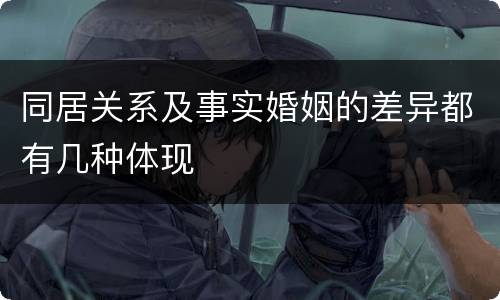 同居关系及事实婚姻的差异都有几种体现