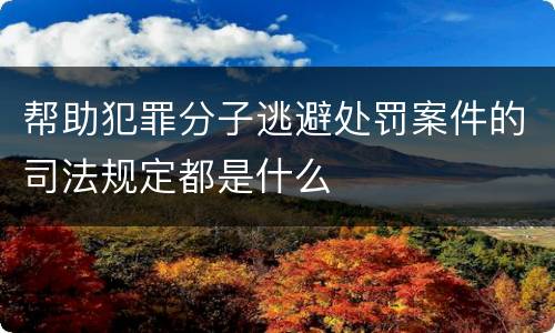 帮助犯罪分子逃避处罚案件的司法规定都是什么