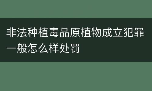 非法种植毒品原植物成立犯罪一般怎么样处罚