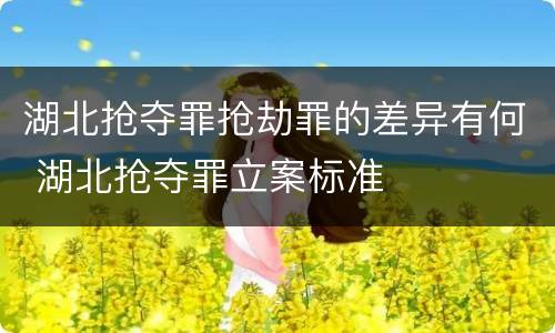 湖北抢夺罪抢劫罪的差异有何 湖北抢夺罪立案标准