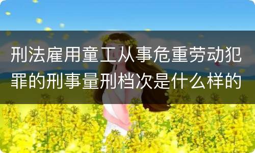 刑法雇用童工从事危重劳动犯罪的刑事量刑档次是什么样的