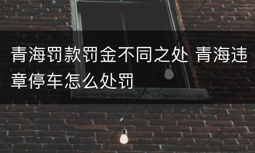青海罚款罚金不同之处 青海违章停车怎么处罚