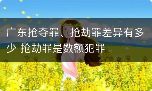 广东抢夺罪、抢劫罪差异有多少 抢劫罪是数额犯罪
