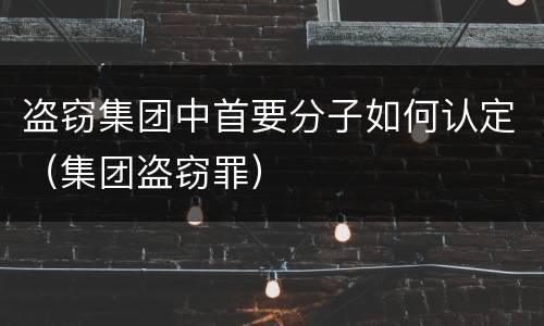 盗窃集团中首要分子如何认定（集团盗窃罪）