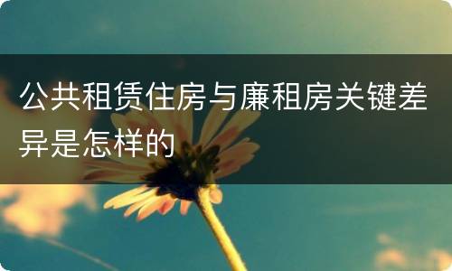 公共租赁住房与廉租房关键差异是怎样的
