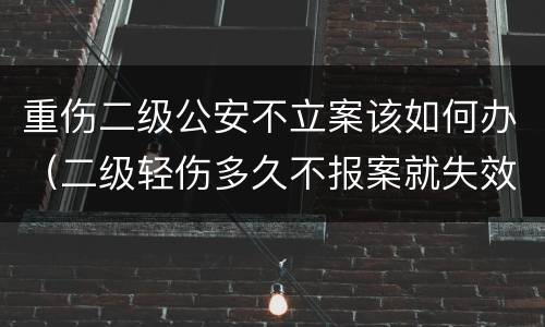 重伤二级公安不立案该如何办（二级轻伤多久不报案就失效）