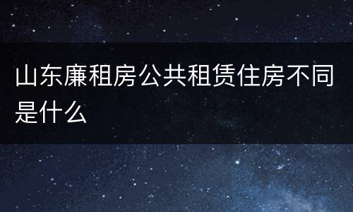 山东廉租房公共租赁住房不同是什么