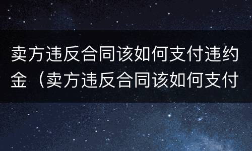 卖方违反合同该如何支付违约金（卖方违反合同该如何支付违约金呢）
