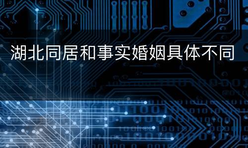 湖北同居和事实婚姻具体不同