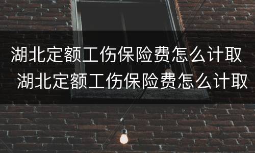 湖北定额工伤保险费怎么计取 湖北定额工伤保险费怎么计取出来
