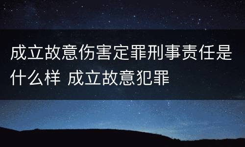 成立故意伤害定罪刑事责任是什么样 成立故意犯罪