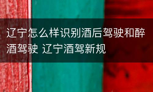 辽宁怎么样识别酒后驾驶和醉酒驾驶 辽宁酒驾新规