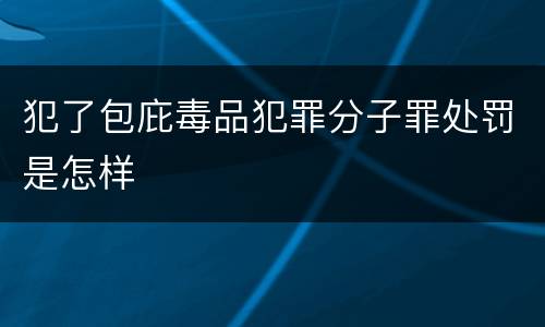 犯了包庇毒品犯罪分子罪处罚是怎样
