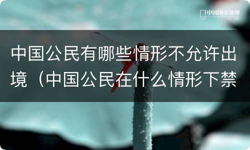 中国公民有哪些情形不允许出境（中国公民在什么情形下禁止出境）