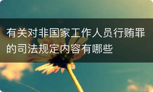有关对非国家工作人员行贿罪的司法规定内容有哪些