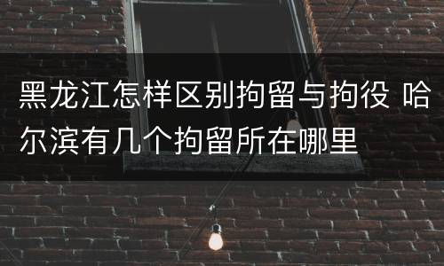 黑龙江怎样区别拘留与拘役 哈尔滨有几个拘留所在哪里