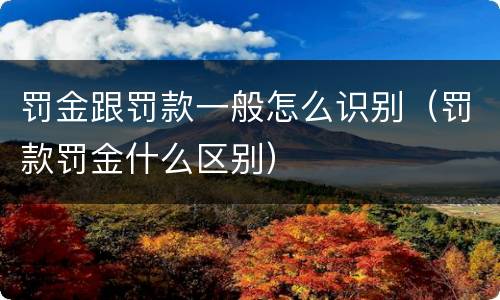 罚金跟罚款一般怎么识别（罚款罚金什么区别）