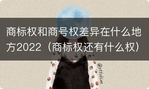 商标权和商号权差异在什么地方2022（商标权还有什么权）