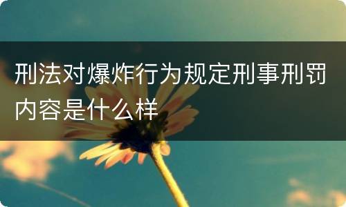 刑法对爆炸行为规定刑事刑罚内容是什么样