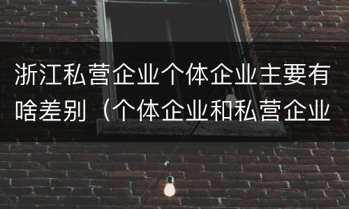 浙江私营企业个体企业主要有啥差别（个体企业和私营企业有哪些）
