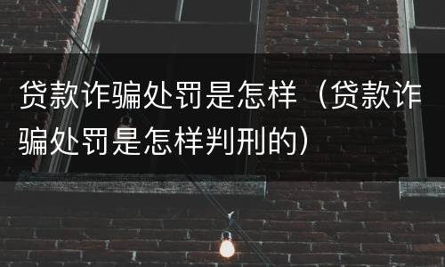贷款诈骗处罚是怎样（贷款诈骗处罚是怎样判刑的）