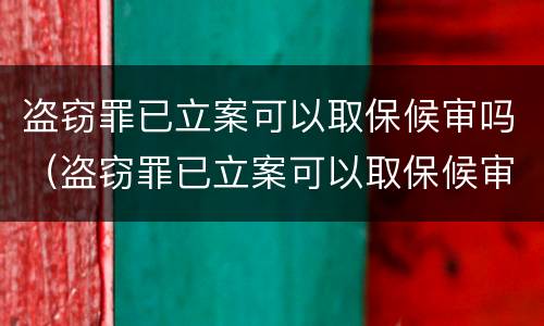 盗窃罪已立案可以取保候审吗（盗窃罪已立案可以取保候审吗）