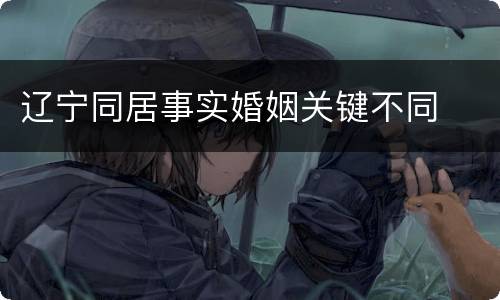 辽宁同居事实婚姻关键不同