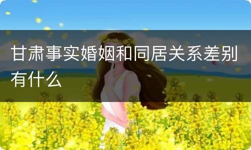 甘肃事实婚姻和同居关系差别有什么
