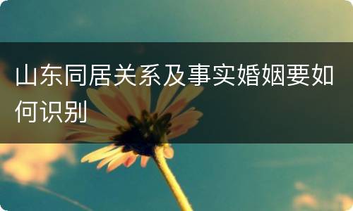 山东同居关系及事实婚姻要如何识别