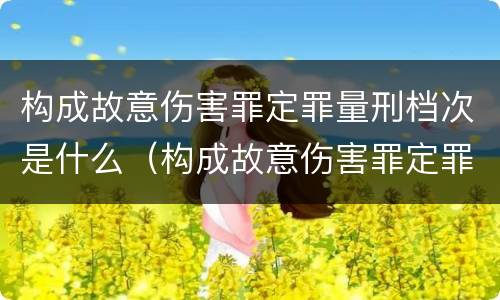 构成故意伤害罪定罪量刑档次是什么（构成故意伤害罪定罪量刑档次是什么）