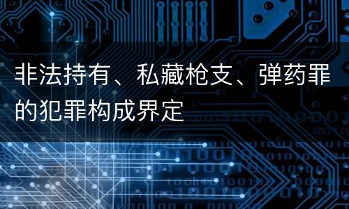 非法持有、私藏枪支、弹药罪的犯罪构成界定