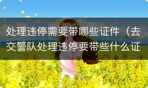 处理违停需要带哪些证件（去交警队处理违停要带些什么证件）