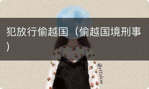 犯放行偷越国（偷越国境刑事）