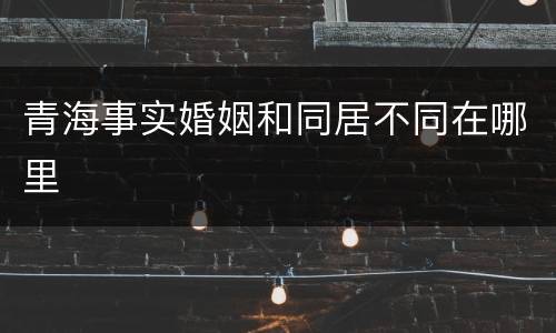 青海事实婚姻和同居不同在哪里