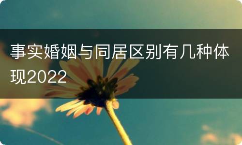 事实婚姻与同居区别有几种体现2022