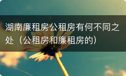 湖南廉租房公租房有何不同之处（公租房和廉租房的）