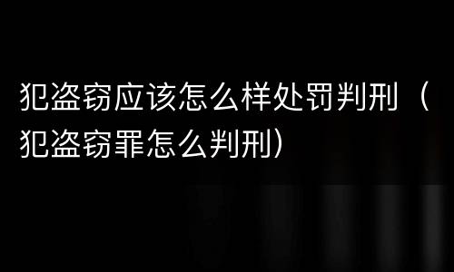 犯盗窃应该怎么样处罚判刑（犯盗窃罪怎么判刑）
