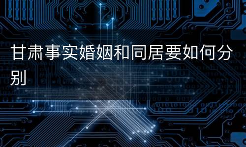 甘肃事实婚姻和同居要如何分别